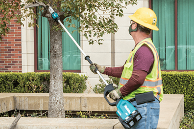 pole saws list