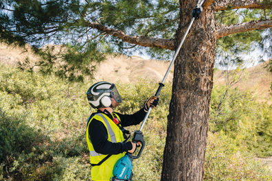 pole saws list